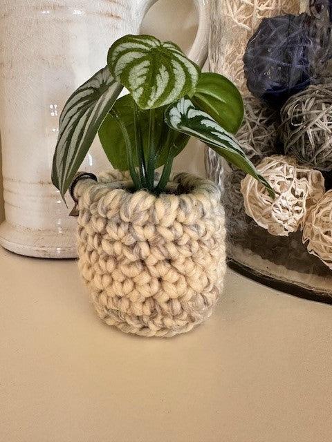 Faux plants with crochet pot covers