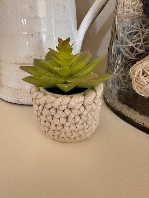 Faux plants with crochet pot covers